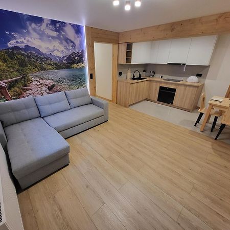 Apartament Chycow Potok Zakopane Zewnętrze zdjęcie